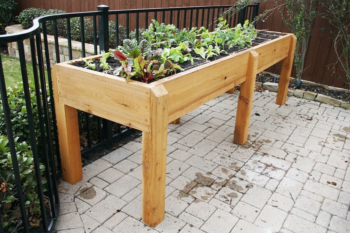 Maison Diederich potager sur pieds neufchateau