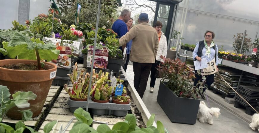 100 ans, retour en photos