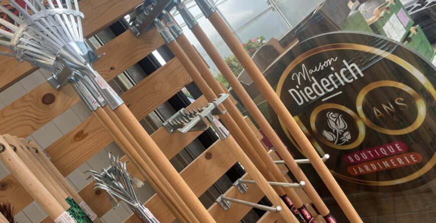 100 ans, retour en photos