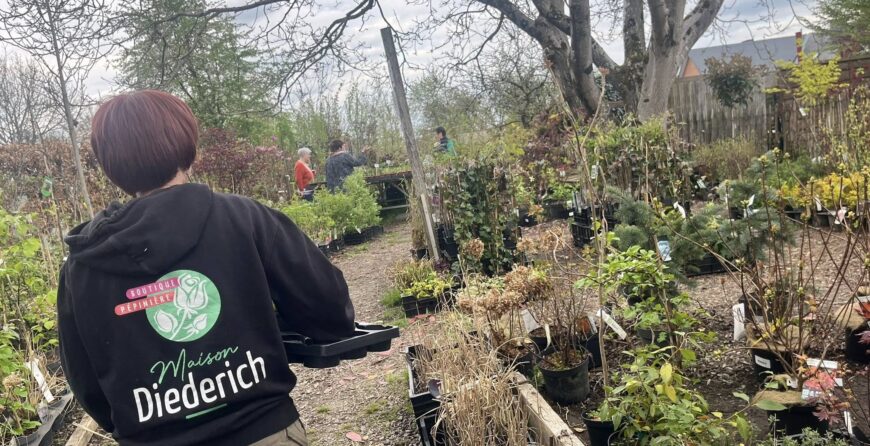 100 ans, retour en photos