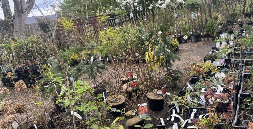 100 ans, retour en photos