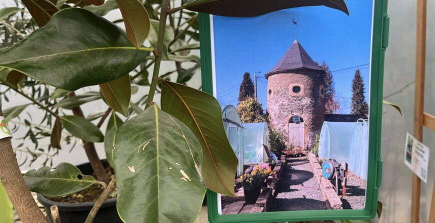 100 ans, retour en photos