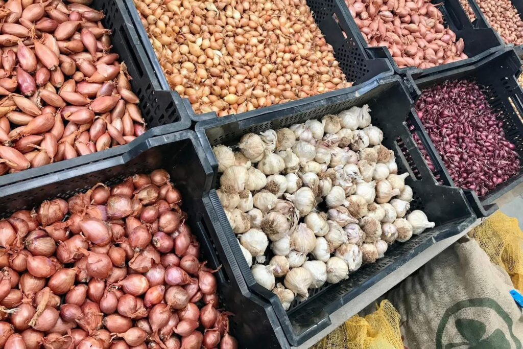 Préparez votre potager