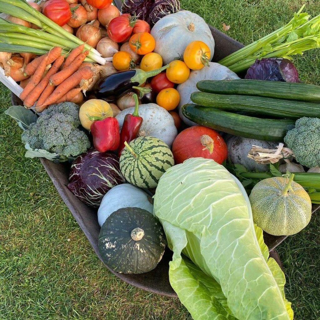 Au potager