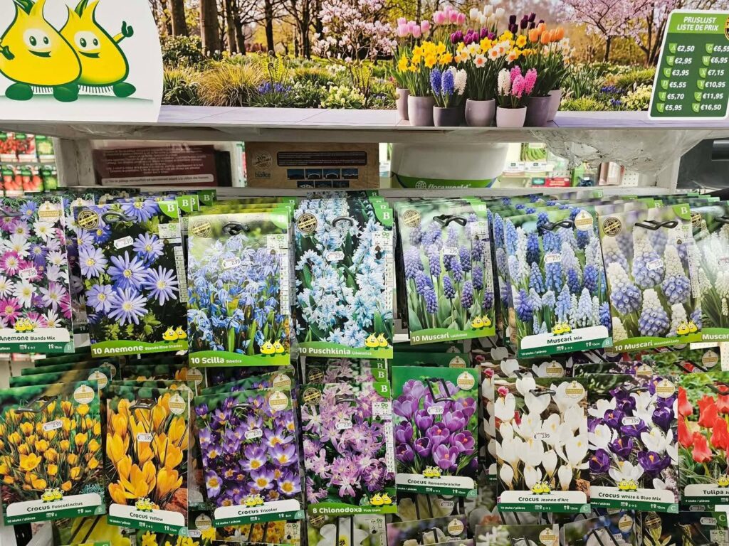 Préparez vos floraisons de printemps
